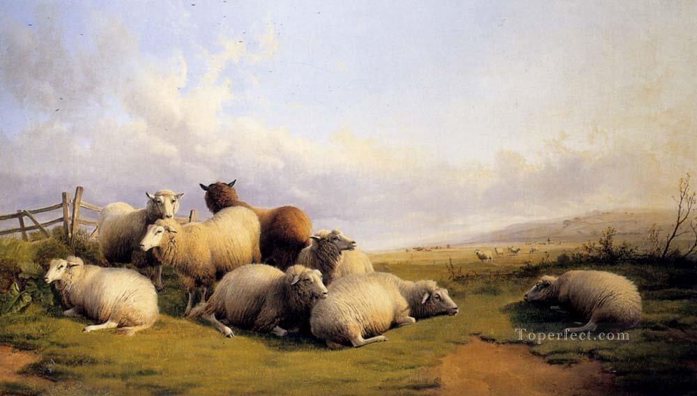 Sheep In An Extensive Landscape farm animals Thomas Sidney Cooper Oil Paintings